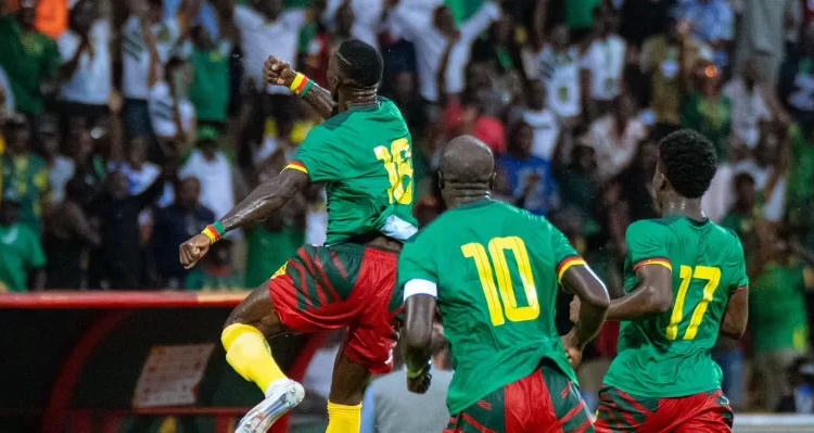 Martin Hongla, Vhristian Bassogog, Lions Indomptables, Marc Brys