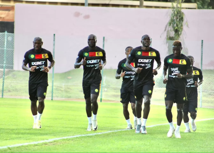 Lions indomptables : 18 joueurs déjà présents dans la tanière