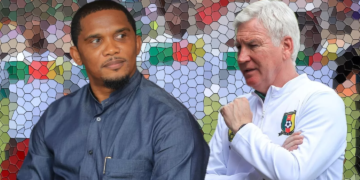 Marc Brys, le NY Times et les nuisances en Lions