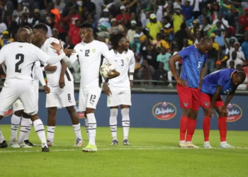 Michael Nees, Zimbabwe