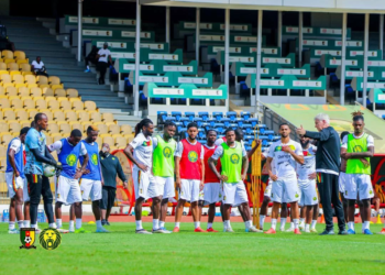 Le dimanche des Lions Indomptables