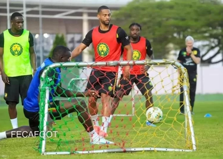 Lions Indomptables