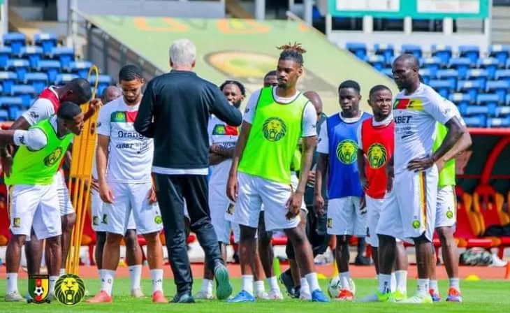 Lions Indomptables