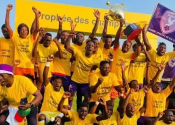 Colombe du Dja et Lobo