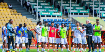 Le dimanche des Lions Indomptables