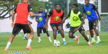 Namibie - Cameroun : Wilitty Younoussa, la surprise de Marc Brys ?