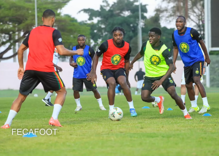 Namibie - Cameroun : Wilitty Younoussa, la surprise de Marc Brys ?