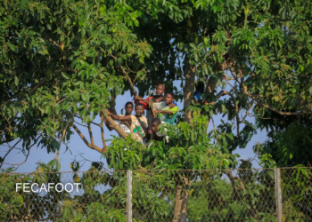 Samuel Eto’o et la Fécafoot, main basse sur les affluences des matchs de football