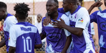 Colombe du Dja et Lobo