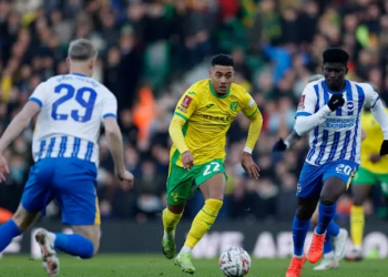 Norwich City - Brighton