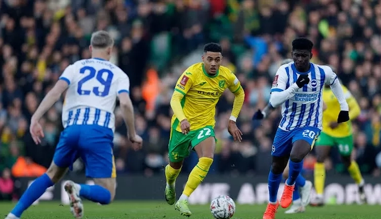 Norwich City - Brighton