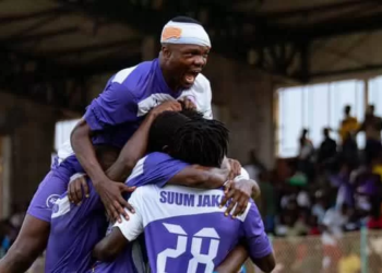 Colombe du Dja et Lobo