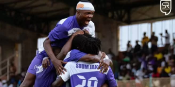 Colombe du Dja et Lobo