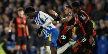 Carlos Baleba - Brighton