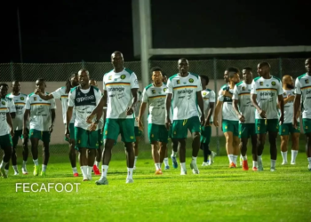 Lions Indomptables