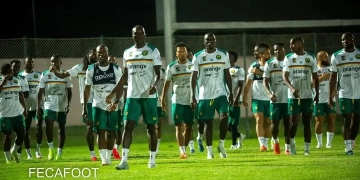 Lions Indomptables