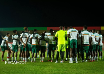Lions Indomptables