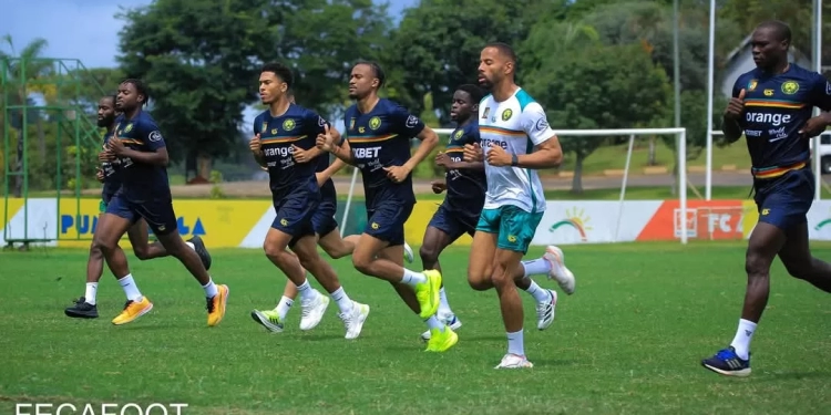 Lions Indomptables