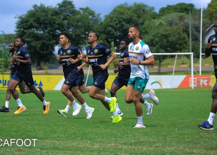 Lions Indomptables