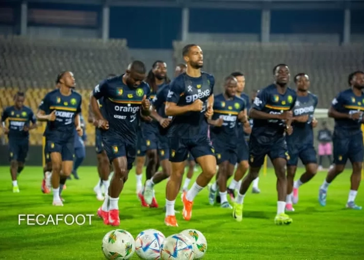 Lions Indomptables
