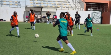 Lionnes Indomptables