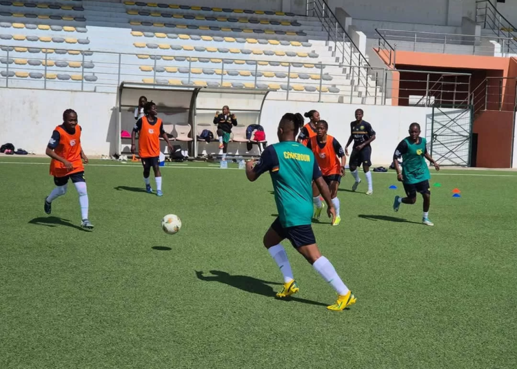 Lionnes Indomptables