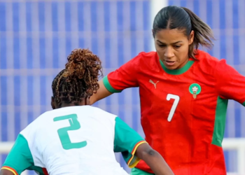 Lionnes indomptables, un an à l’abandon