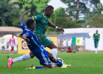 Fauve Azur - Aigle du Moungo