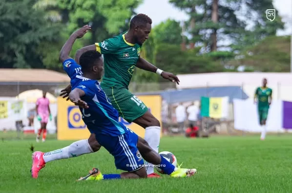 Fauve Azur - Aigle du Moungo