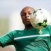 André Ayew