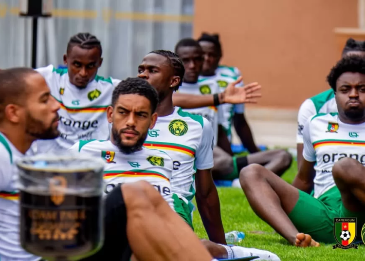 Africa week: le mardi des Lions Indomptables