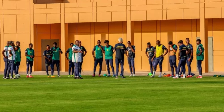 Africa week : programme veille de match dans la tanière des Lions Indomptables