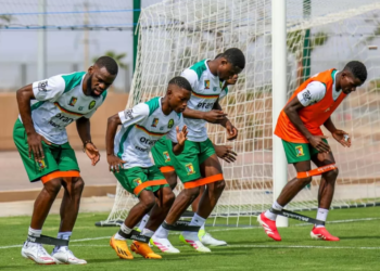 Y a-t-il une insuffisance de produits Fourteen dans la tanière ?