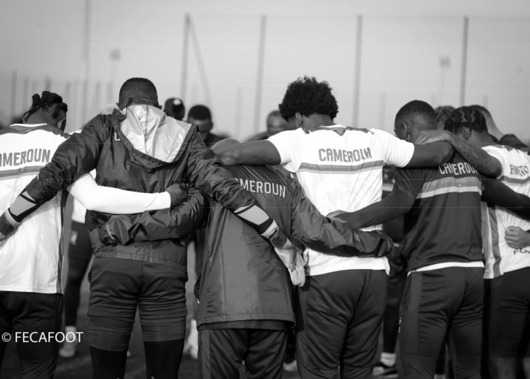 Renaissance tient tête aux Lions Indomptables