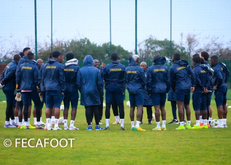 La séance d&rsquo;entrainement des Lions en images