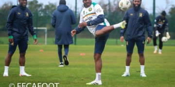 La séance d&rsquo;entrainement des Lions en images