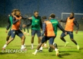 La séance d&rsquo;entrainement des Lions en images