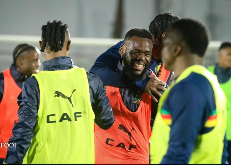 CAN 2025 : les dernières nouvelles dans la tanière !