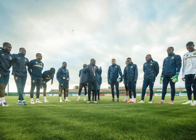 Lions Indomptables à la CAN 2025