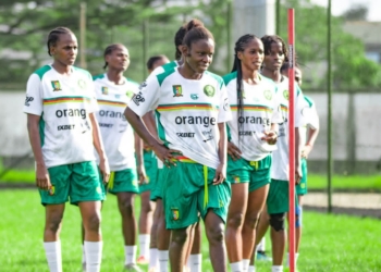 Les Lionnes sans sélectionneur à deux mois de la CAN !