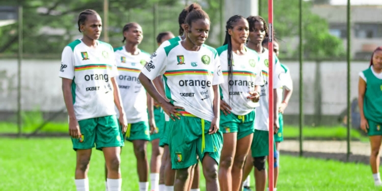 Les Lionnes sans sélectionneur à deux mois de la CAN !