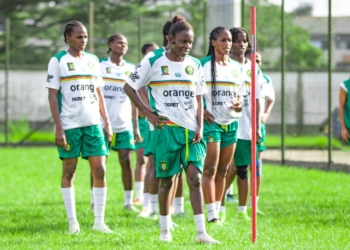 Les Lionnes sans sélectionneur à deux mois de la CAN !