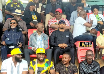 Colombe – Panthère : l&rsquo;image du Cameroun trainée dans la boue !