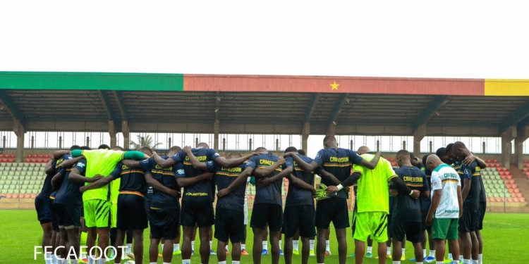 Les Lions Indomptables sont déjà au travail !