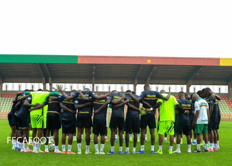Les Lions Indomptables sont déjà au travail !
