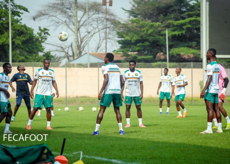 Lions Indomptables : la préparation gagne en intensité !