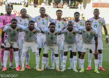 Classement FIFA : statu quo pour le Cameroun !