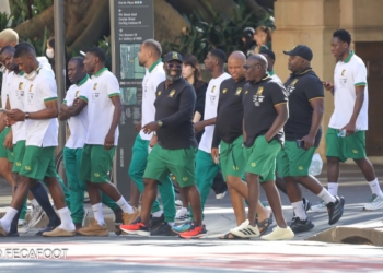 Période FIFA : les Lions Indomptables laissés au repos