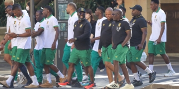 Période FIFA : les Lions Indomptables laissés au repos
