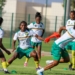 CAN Féminine 2026 : le parcours du Cameroun en chiffres